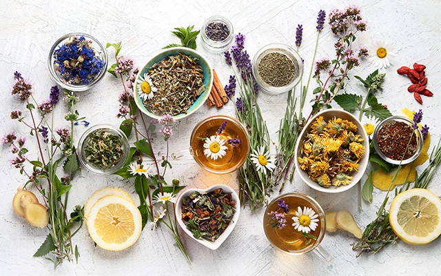 Naturmedizin: Heilpflanzen und ihre Wirkung
