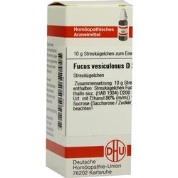 FUCUS VESICUL D200