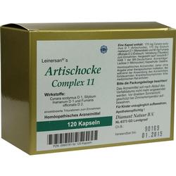 ARTISCHOCKE COMPL 11 LEINE