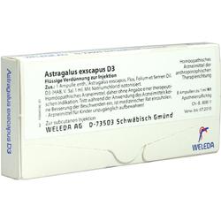 ASTRAGALUS EXSCAPUS D 3