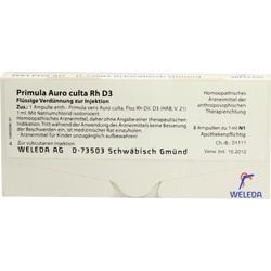 PRIMULA AUR CUL RH D 3