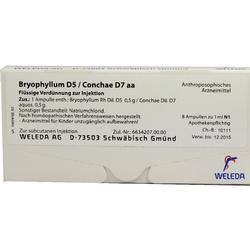 BRYOPHYLLUM D 5 CON D 7