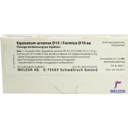EQUISETUM ARV D15 FORM D10