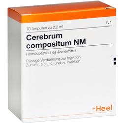 CEREBRUM COMPOSITUM NM