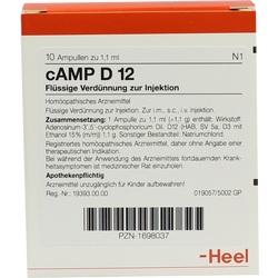 CAMP D12