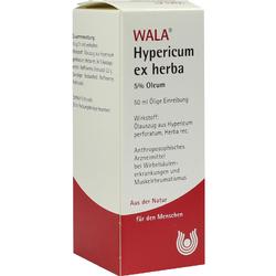 HYPERICUM EX HERBA 5% OL