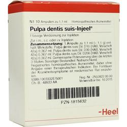PULPA DENTI SUIS INJ ORG