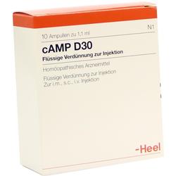CAMP D30