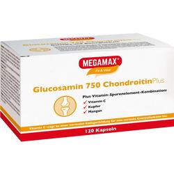 GLUCOSAMIN 750CHON PL MEGA