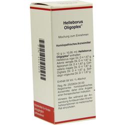 HELLEBORUS OLIGOPLEX
