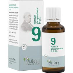 BIOCHEMIE 9 NATR PHOS D 6