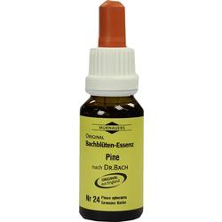 BACHBLUETEN MURNAU PINE