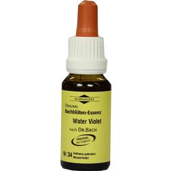BACHBLUETEN MURNAU WAT VIO