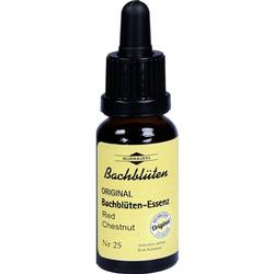 BACHBLUETEN MURNAU RED CHE