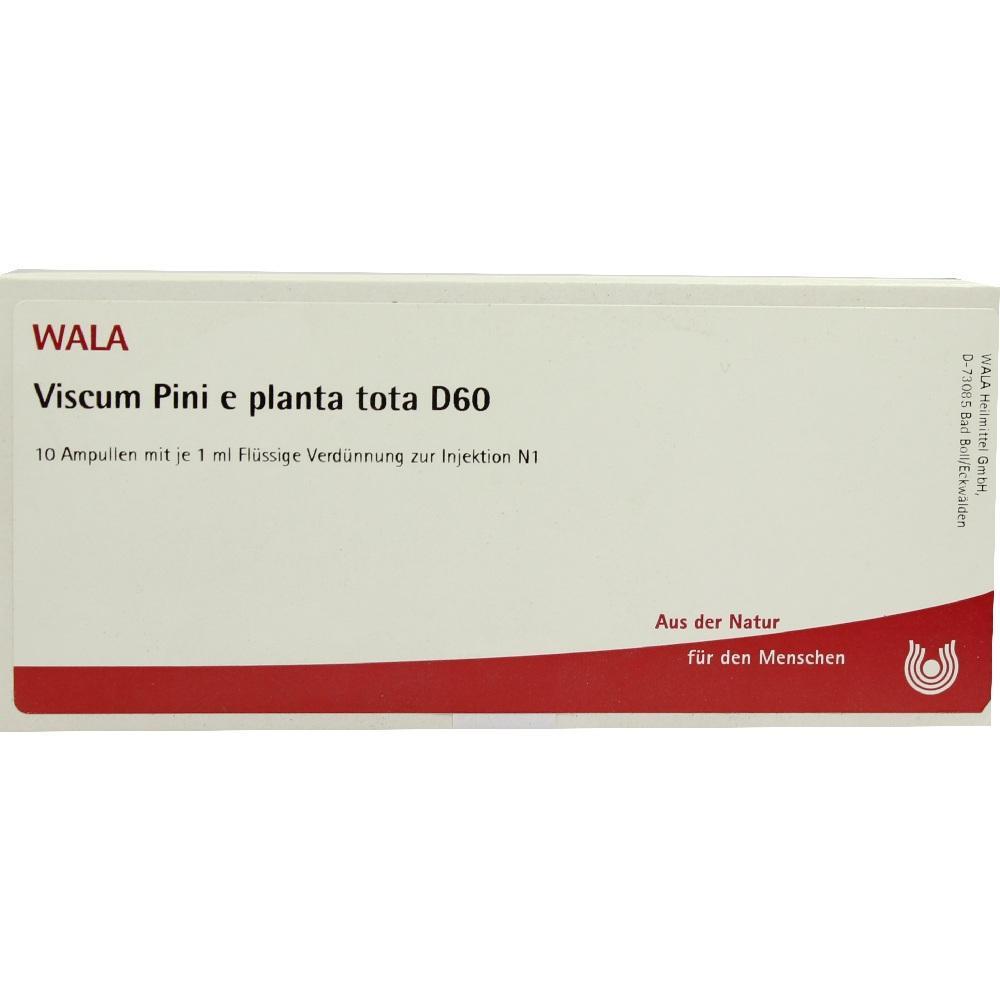 Die Packung zeigt Viscum Pini e planta tota D60 Ampullen zur Injektion.