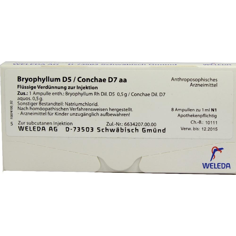 Wei&szlig;e Medikamentenverpackung mit dem Aufdruck "Bryophyllum D5 / Conchae D7 aa".