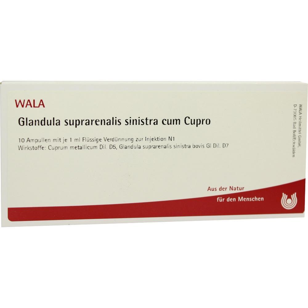 Eine Verpackung von WALA mit Ampullen zur Injektion.