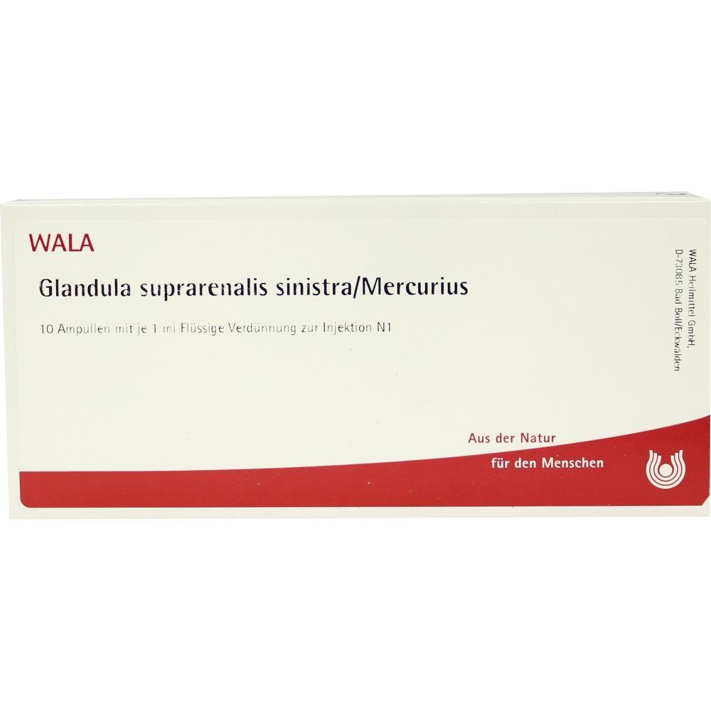 Verpackung von WALA Glandula suprarenalis sinistra/Mercurius mit 10 Ampullen zur Injektion.