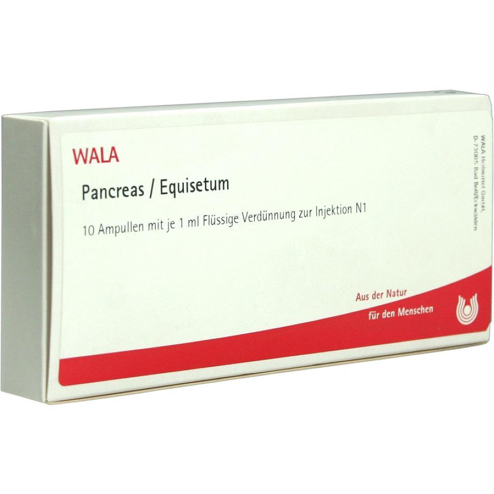 Eine Packung mit 10 Ampullen zur Injektion namens Pancreas/Equisetum.