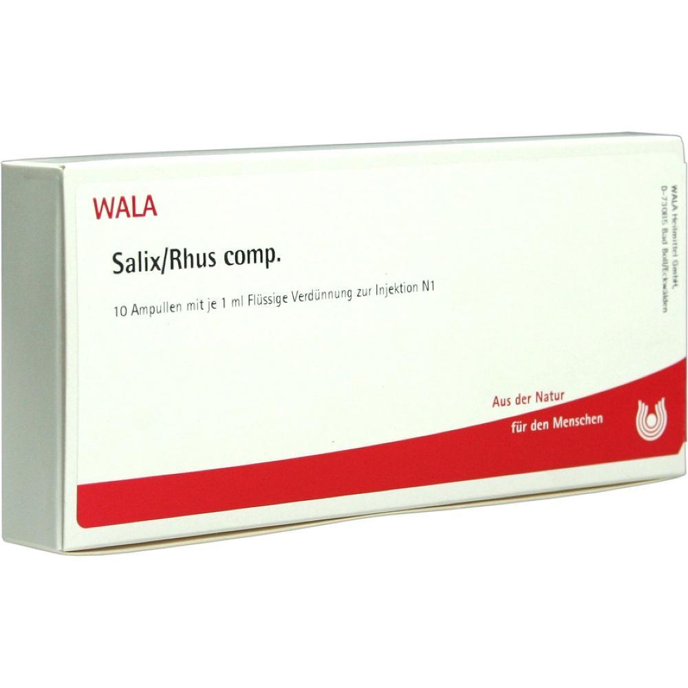 Eine Packung Salix/Rhus Comp. mit 10 Injektionsampullen.