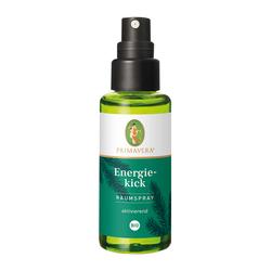 ENERGIEKICK RAUMSPRAY BIO