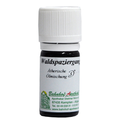 WALDSPAZIERGANG
